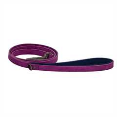 James & Steel Sotnos Bright Tech Dog Lead - Raspberry